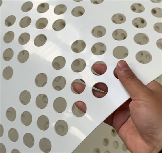 打孔撿蛋帶0315-3 打孔撿蛋帶0315-3