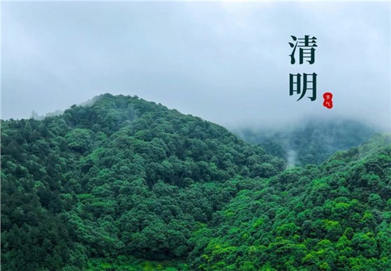 清明節(jié)0402-2 清明節(jié)0402-2