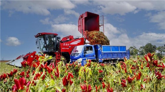 農業強國-4 農業強國-4