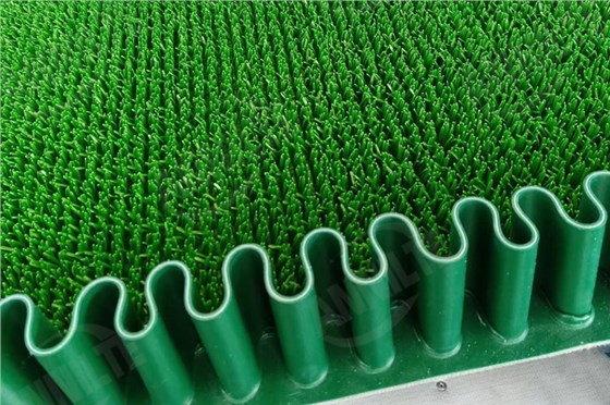 淘金草0526-4 淘金草0526-4