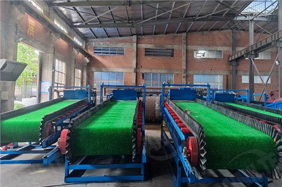 淘金草0526-5 淘金草0526-5