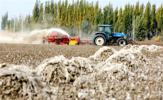 殘膜回收機(jī)皮帶0618-1