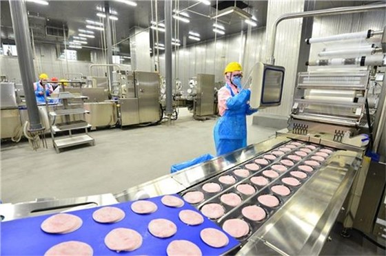 切片分份機皮帶0628-2