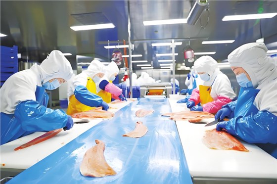 切魚機皮帶0702-1 切魚機皮帶0702-1