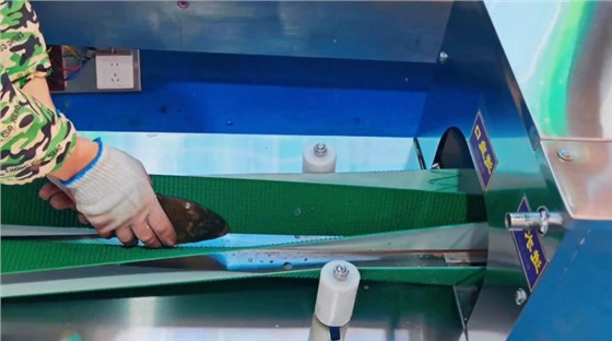 切魚機皮帶0702-2 切魚機皮帶0702-2