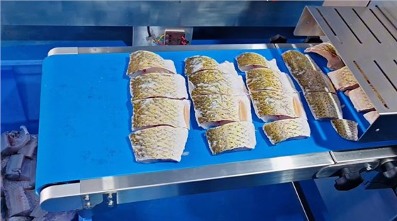 切魚機皮帶0702-5 切魚機皮帶0702-5