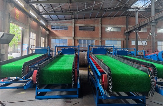 淘金草0717-3 淘金草0717-3