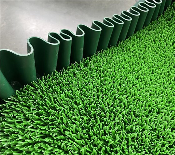 淘金草0717-5 淘金草0717-5