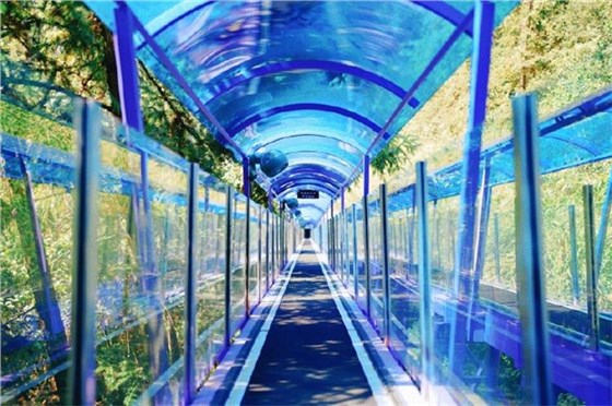 暑期經濟-11 暑期經濟-11