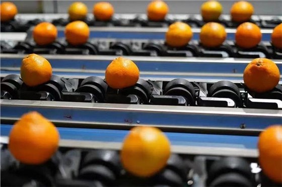 農(nóng)產(chǎn)品消費(fèi)-9 農(nóng)產(chǎn)品消費(fèi)-9