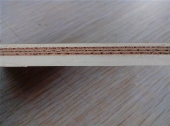 白色橡膠輸送帶0827-5