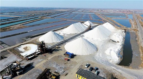 白色橡膠輸送帶0911-2 白色橡膠輸送帶0911-2