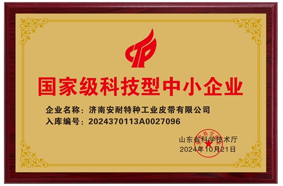 國家級科技型中小企業-1 國家級科技型中小企業-1
