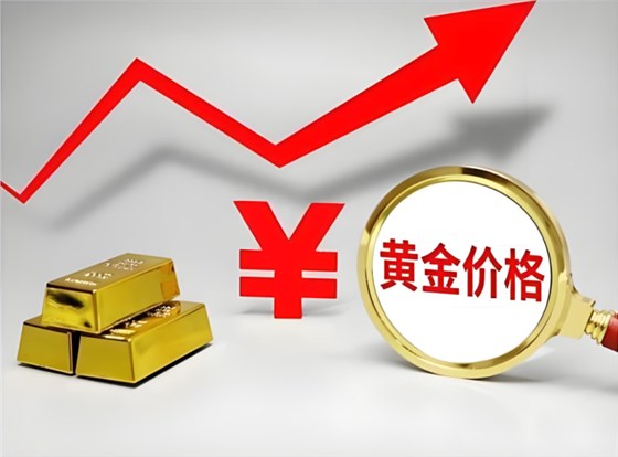 淘金草輸送帶1018-1 淘金草輸送帶1018-1