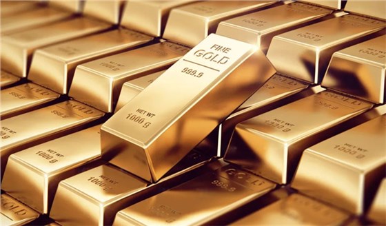 淘金草輸送帶1018-2 淘金草輸送帶1018-2