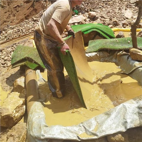 淘金草輸送帶1018-3 淘金草輸送帶1018-3