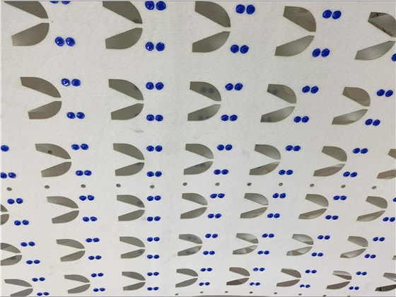 白色食品輸送帶 白色食品輸送帶