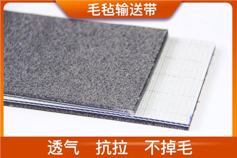 毛氈輸送帶
