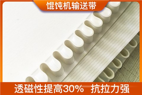 毛氈磁選機輸送帶