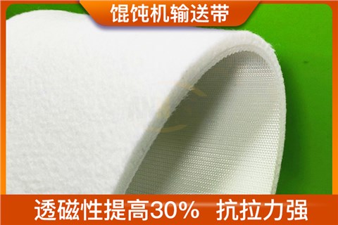 毛氈磁選機輸送帶