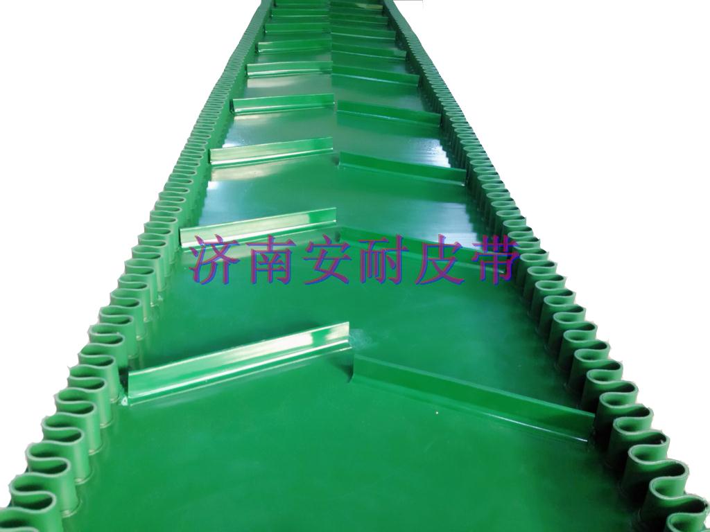 裙邊輸送帶-綠 (2) 裙邊輸送帶-綠 (2)