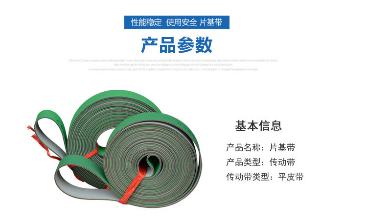 尼龍片基帶 (1) 尼龍片基帶 (1)