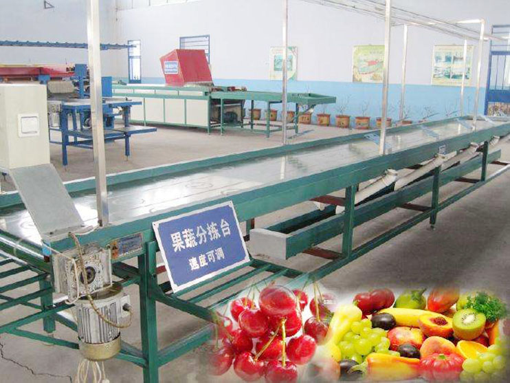 分揀機輸送帶 分揀機輸送帶