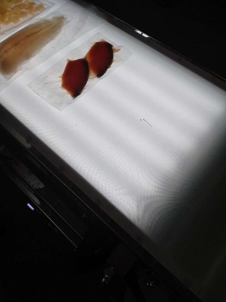 分揀機皮帶 分揀機皮帶