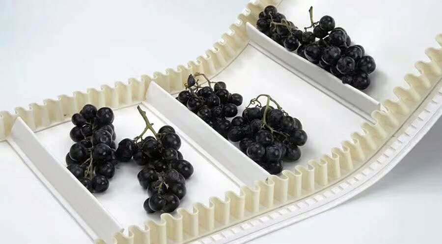 食品輸送帶:濟南安耐特種工業皮帶 食品輸送帶:濟南安耐特種工業皮帶