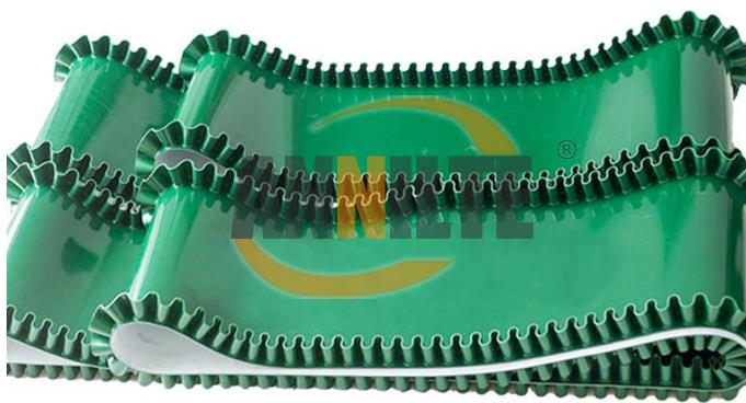 綠色裙邊皮帶 綠色裙邊皮帶