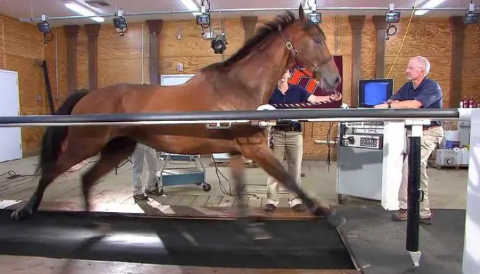 微信圖片_20230923100541 微信圖片_20230923100541