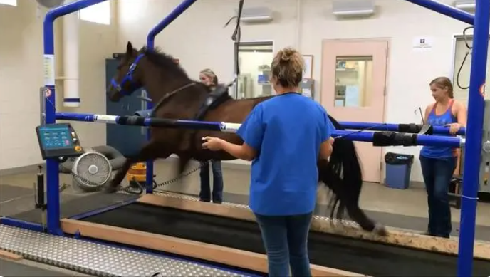 微信圖片_20230923100545 微信圖片_20230923100545