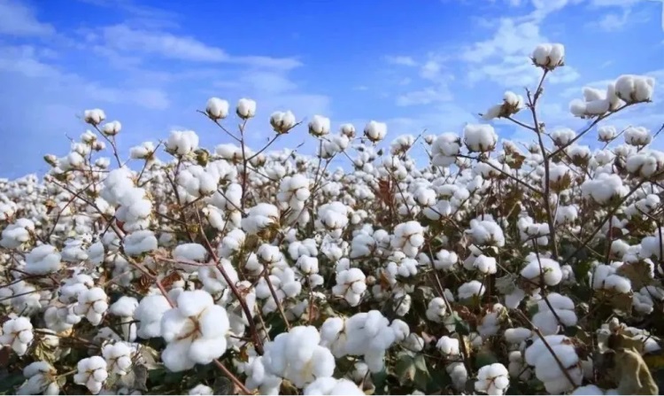 微信圖片_20231028142702 微信圖片_20231028142702