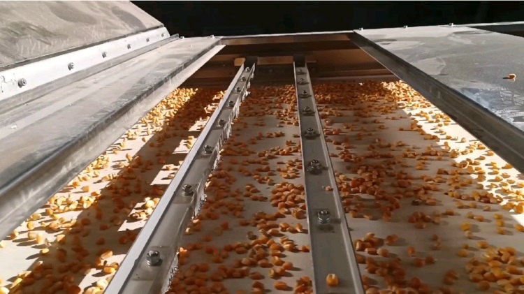 微信圖片_20231121110808 微信圖片_20231121110808