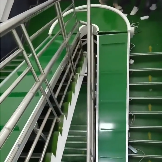 微信圖片_20231129163942_編輯 微信圖片_20231129163942_編輯