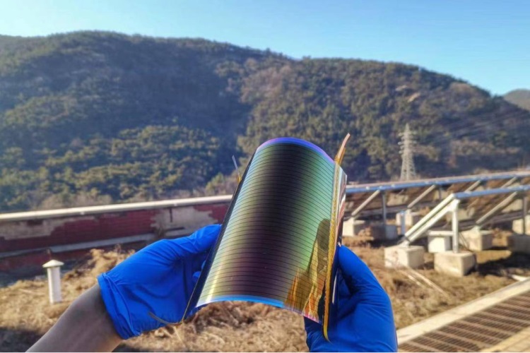 微信圖片_20231206113520 微信圖片_20231206113520