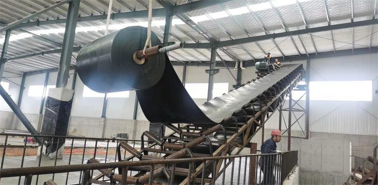 b_1169537202012050855571426 b_1169537202012050855571426