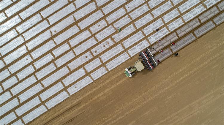 1f34d149b429dc0bc4e8b8df5d0b75d4 1f34d149b429dc0bc4e8b8df5d0b75d4