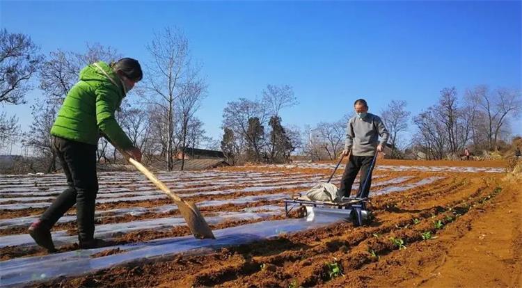 u=2489919805,889624689&fm=253&fmt=auto&app=138&f=JPEG_看圖王 u=2489919805,889624689&fm=253&fmt=auto&app=138&f=JPEG_看圖王