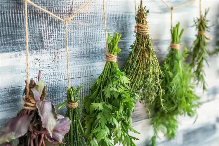 1000 (1)_看圖王 1000 (1)_看圖王