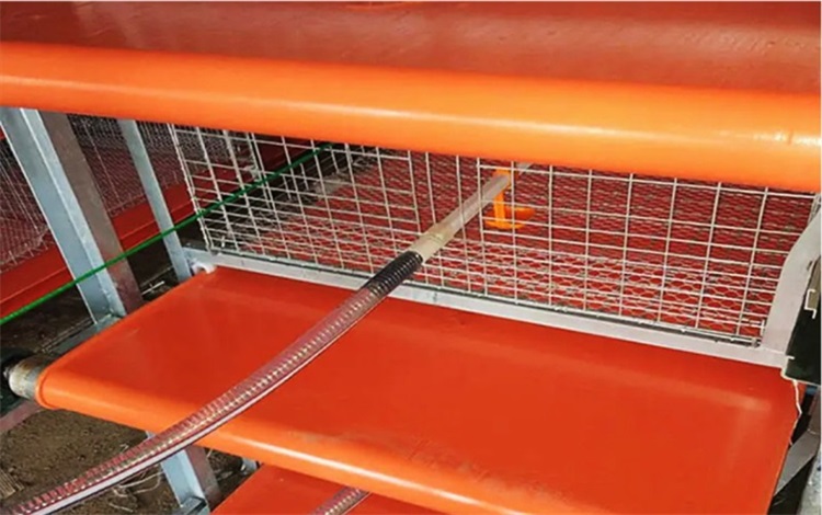 兔舍清糞帶0927-2 兔舍清糞帶0927-2