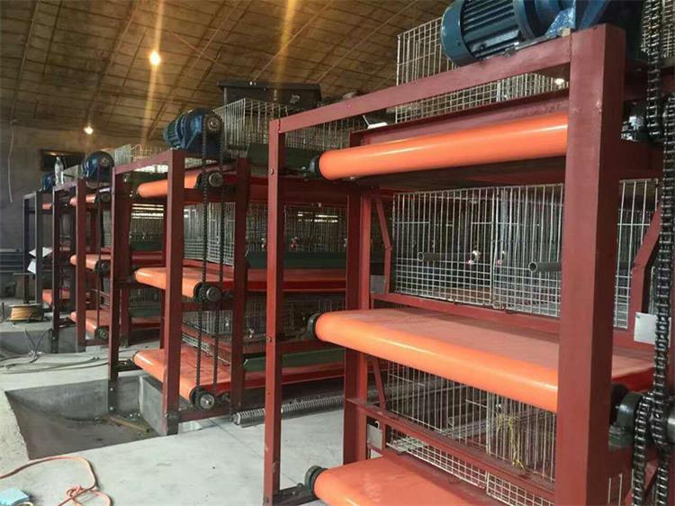 兔舍清糞帶0927-5 兔舍清糞帶0927-5