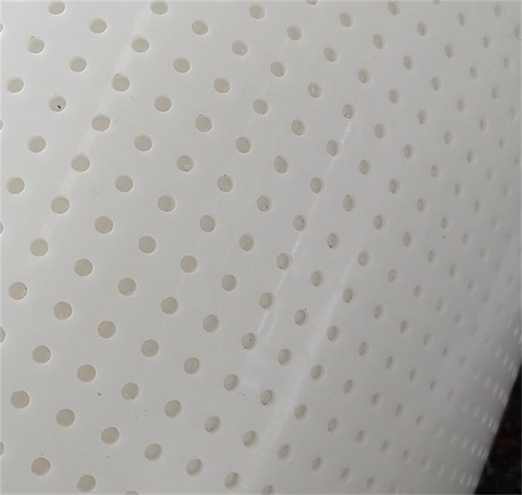 雞糞烘干輸送帶2 雞糞烘干輸送帶2