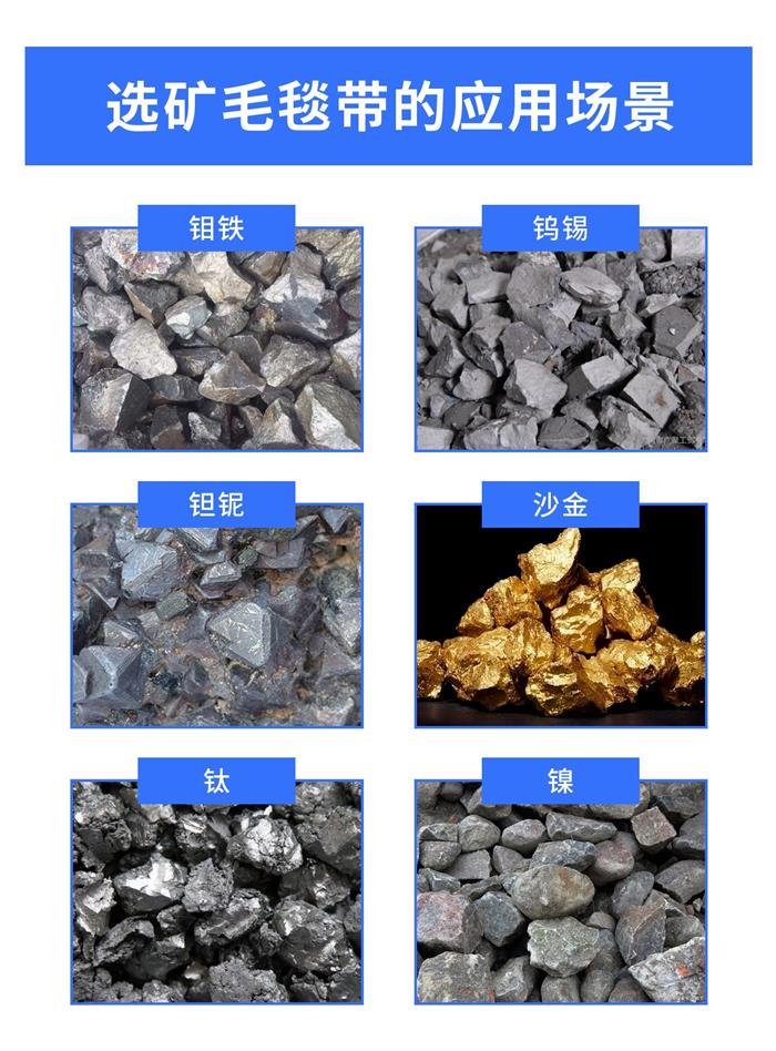 選礦毛毯帶1016-3 選礦毛毯帶1016-3