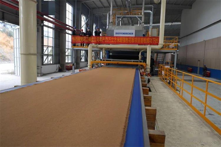 刨花板輸送帶1109-1 刨花板輸送帶1109-1