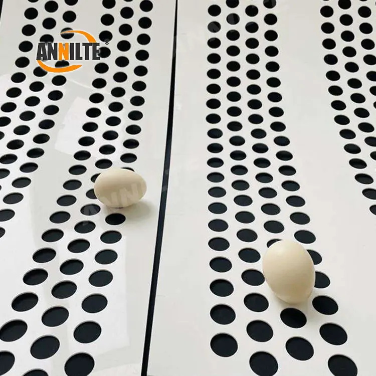 打孔撿蛋帶0224-3 打孔撿蛋帶0224-3