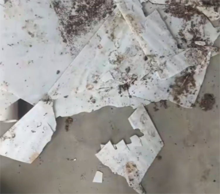 清糞帶0224-3 清糞帶0224-3