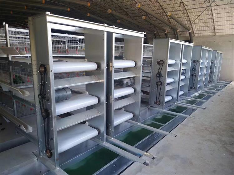 清糞帶0224-5 清糞帶0224-5