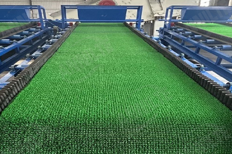 淘金草0526-3 淘金草0526-3