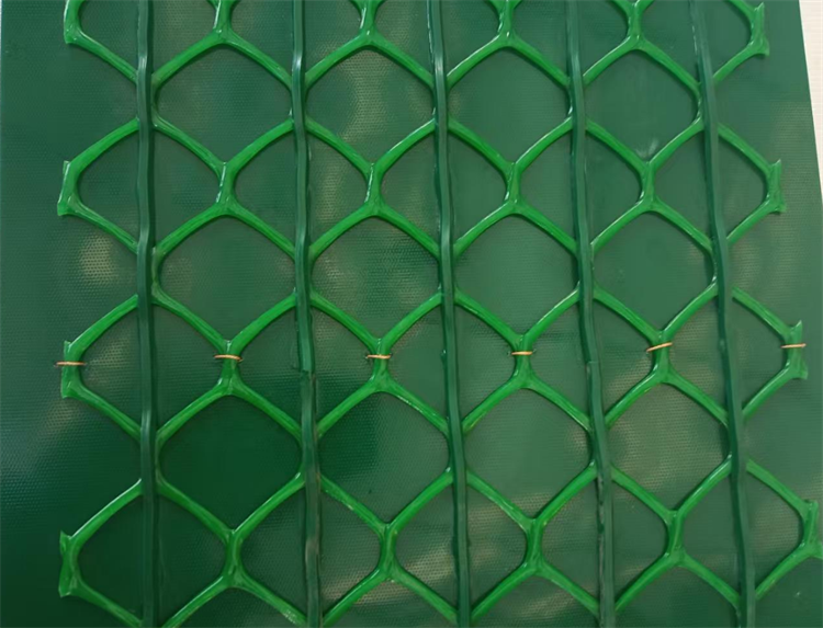 噴砂機(jī)輸送帶0625-3